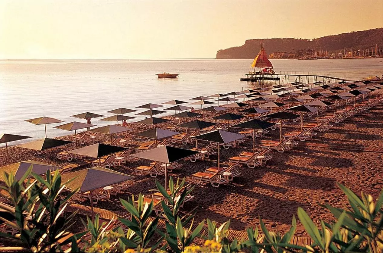 GRANDHABER_SHABAVIZ (9).jpg